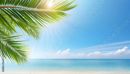 palm tree leaves blue sky background frame green palm branch corner border tropical island sea beach banner summer holidays template vacation design travel pattern tourism backdrop copy space