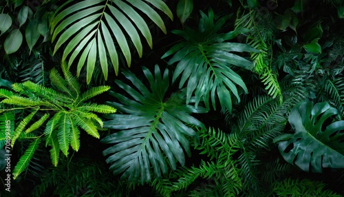 closeup nature view of palms and monstera and fern leaf background flat lay dark nature concept tropical leaf