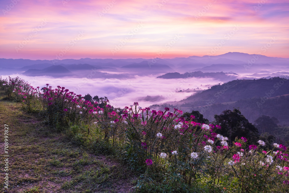 Obraz premium Beautiful sunrise in the morning with sea of mist on hight moutain, Mon Mok Tawan, Tak Province, Thailand.