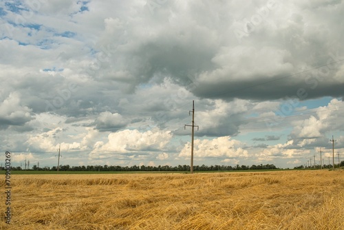 Power line against the backdrop of a wheat field and dramatic sky, landscape of Ukraine