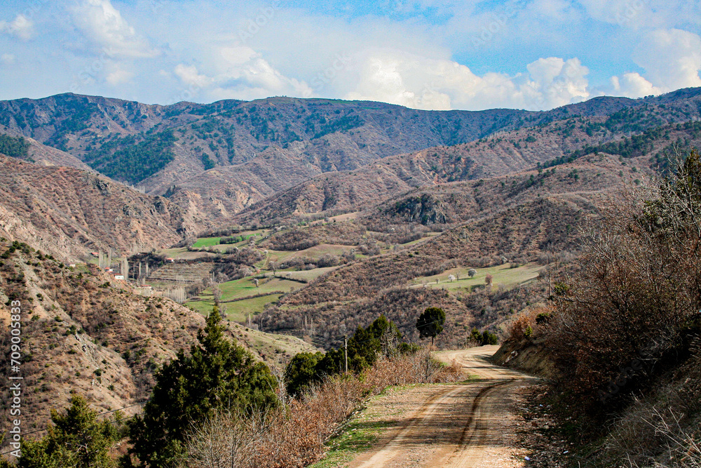 Rural Tapestry: Winding Path Through the Anatolian Hillsides