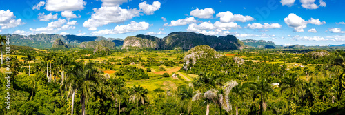 Photography Enchanting panorama of Valle de Viñales valley with palm trees, tobacco fields a
