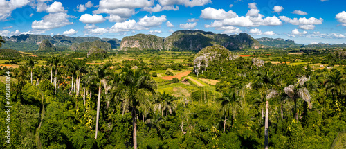 Bild auf Leinwand Valle de Viñales valley panorama, featuring palm trees in the foreground, tobacco fields and limestone Mogote hills of Sierra de Viñales, an idyllic Caribbean landscape in Viñales National Park, Cuba