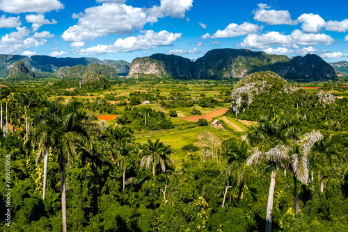 Verdant beauty of Pinar del Río premier agricultural region for Cuban tobacco, showcasing Valle de Viñales valley in Cuba, set against lush tobacco fields and Mogote hills of Vinales National Park. photo