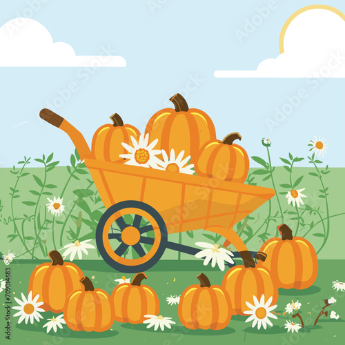 Autumn landscape. harvesting, autumn, rural landscape. wheelbarrow, pumpkins, autumn. autumn garden