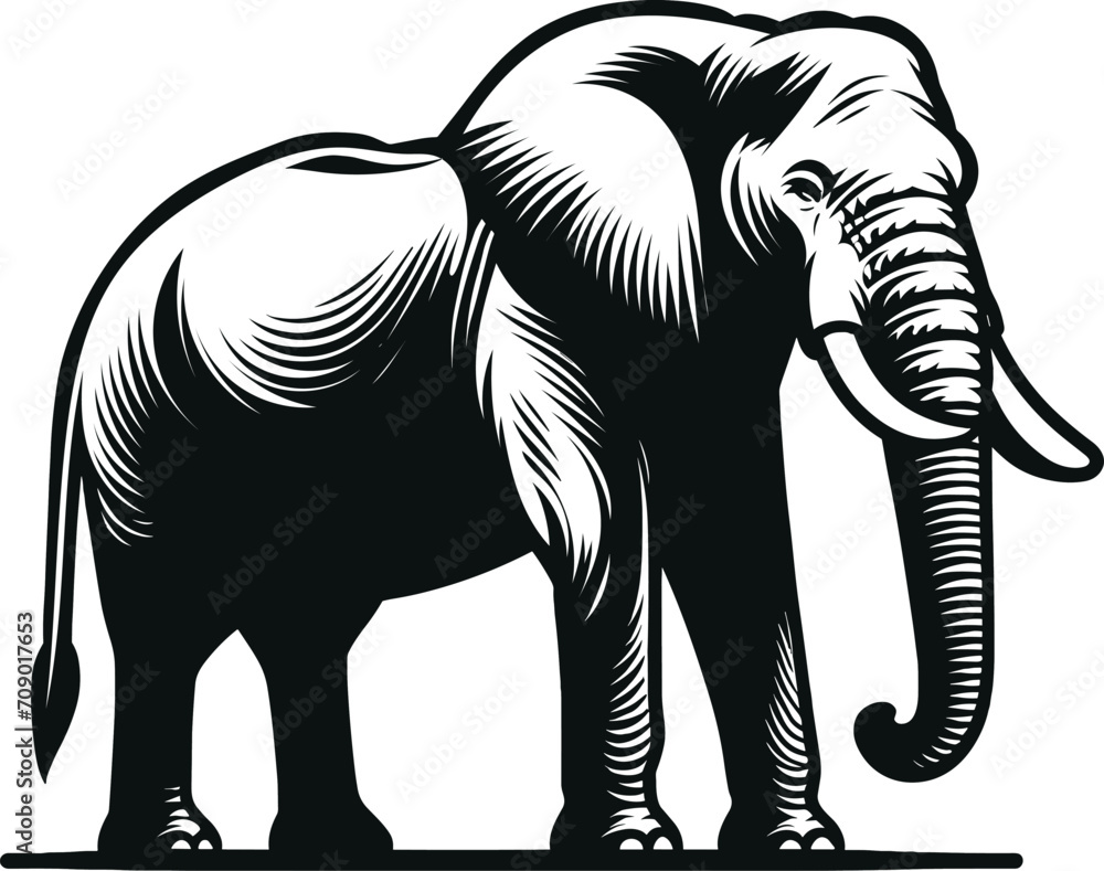 Elephant Silhouette Illustration Vector