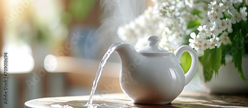 Neti Pot treatment for runny nose and colds: nasal lavage, irrigation therapy.