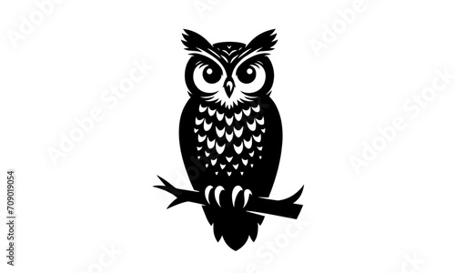 OWL detailed vector or silhouette illustration   black and white OWL  detailed OWL illustration