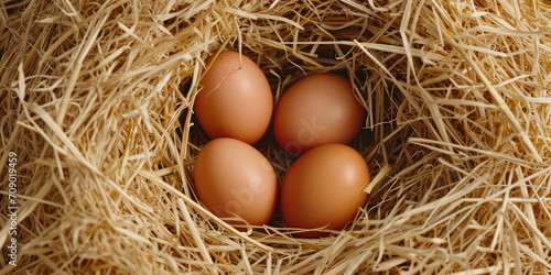 Close-up of beige chicken eggs resting in a natural hay nest, symbolizing organic farming and sustainability, copy space. Fresh Farm Eggs Nestled in Hay.