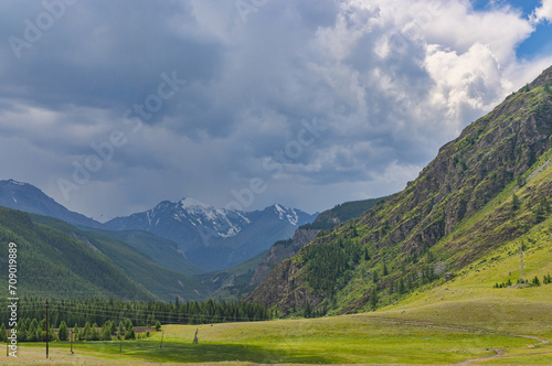 fir forest under rain in Altai mountains