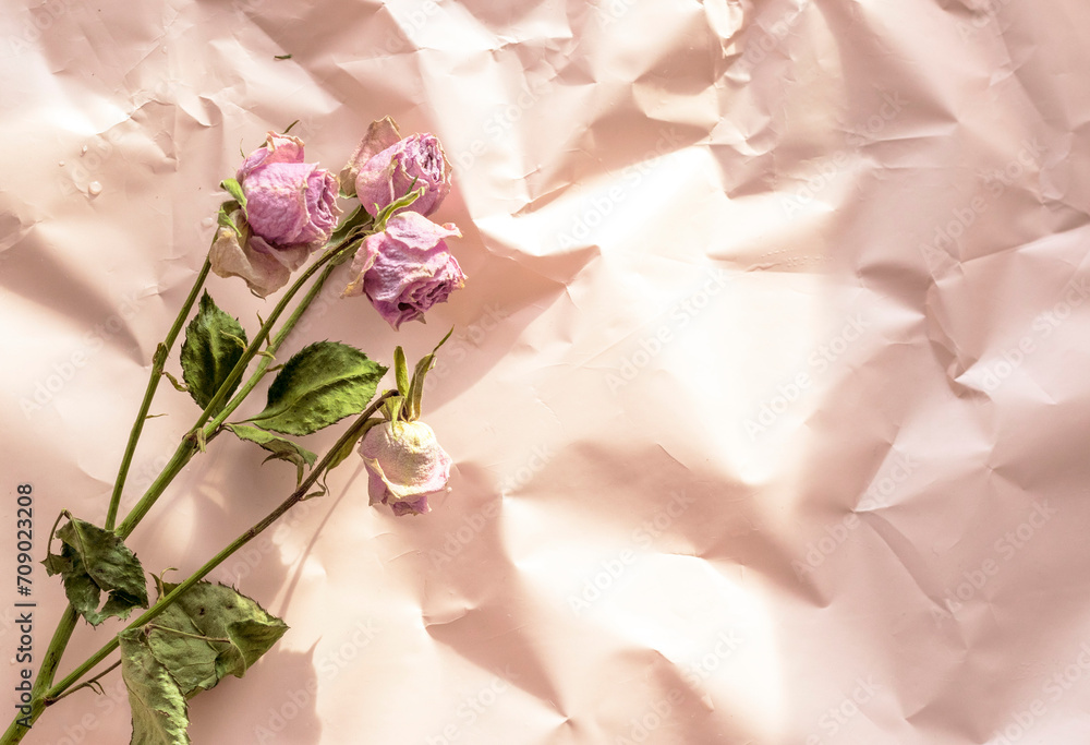 Fototapeta premium Concept shot of the background theme, wrapping paper, dried roses other flowers and other arrangements. Decoration