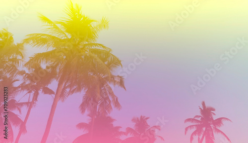 Fototapeta Naklejka Na Ścianę i Meble -  Banner Summer with colorful theme as palm trees background as texture frame background