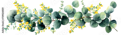 Green and yellow eucalyptus leaves in watercolor style, detailed and realistic, isolated on transparent or white background photo