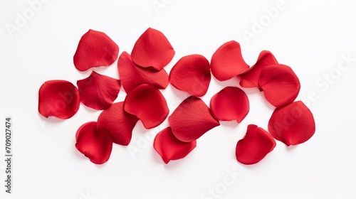 Beautiful rose petals on a white background.