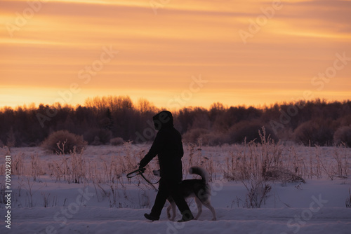 A woman walks her husky dog ​​in the early winter morning.