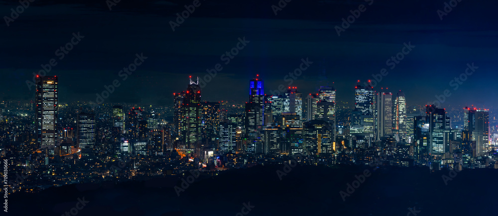 Obraz premium 東京夜景