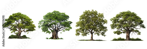 Set of Big tree realistic on a transparent background