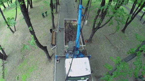 Park service use elevating truck to prune tree branches photo