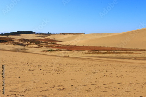 足跡と砂丘
