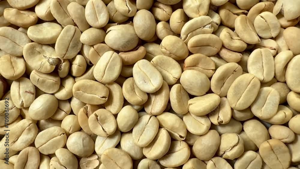 (Coffee substance) Thai Arabica and Robusta fully washed process for home roasting green coffee bean (Coffee substance) Thai Arabica and Robusta fully washed process for home roasting green coffee bean