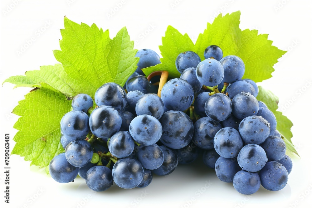 Fototapeta premium High quality detailed blue grape isolated on white background for advertising and marketing purposes