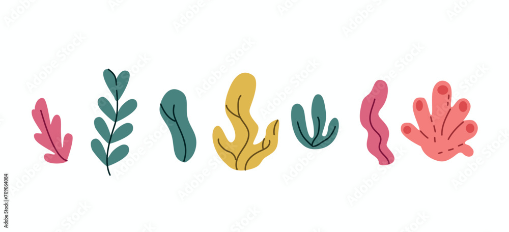 Obraz premium Set of seaweed. Colorful seaweeds. Vector illustration.