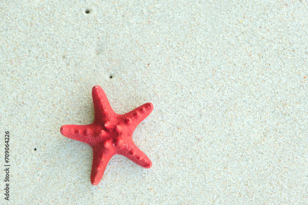 Red sea star closeup on sandy tropical beach, vacation concept background for page, template or web banner Red sea star closeup on sandy tropical beach, vacation concept background for page, template or web banner