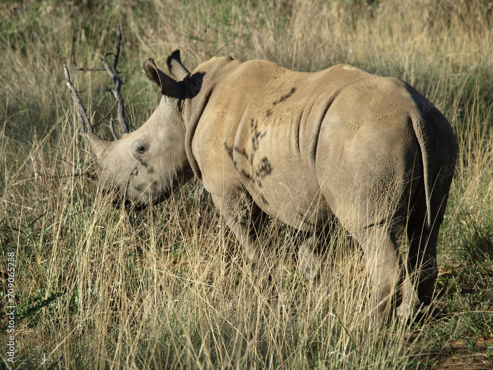 Obraz premium OLYMPUS DIGITAL CAMERA