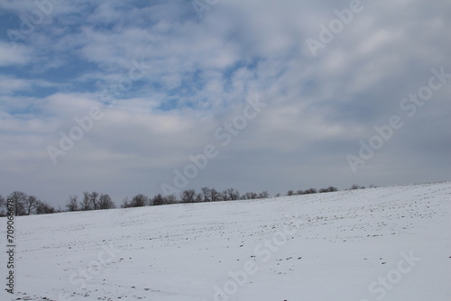 A snowy field with trees and blue sky