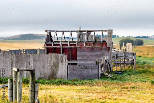 Rustic farm buildings in a field. Rockyview County, Alberta, Canada photo