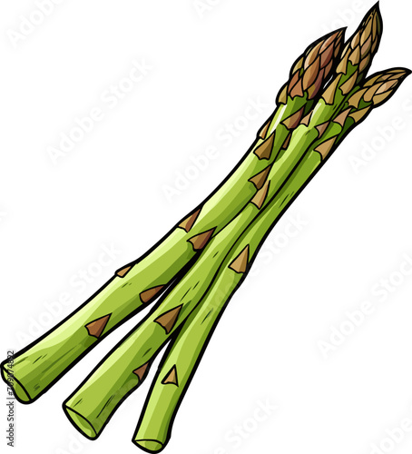 Asparagus clipart design illustration