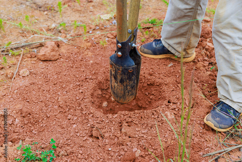 An individual using hand post hole digger to dig fence post photo