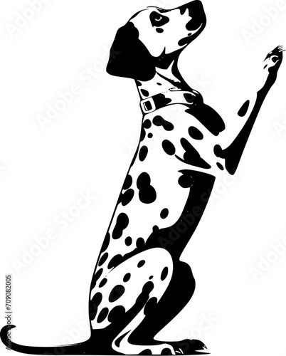 Dalmatian Dog SVG Drawing Portrait Begging