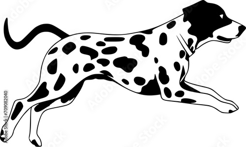 Dalmatian Dog SVG Drawing lying down