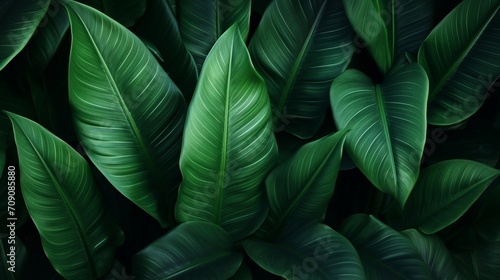 Textures of abstract green leaves for tropical leaf background - Generative AI
