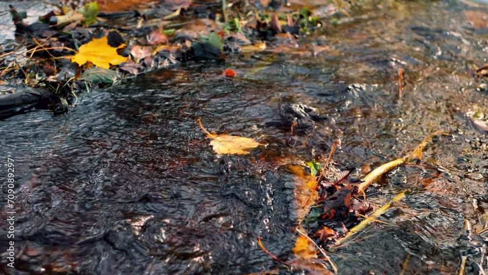 Colorful autumn leaves have fallen on the river bank. Leaves float in water. Soft selective focus. Artificially created grain for the picture Colorful autumn leaves have fallen on the river bank. Leaves float in water. Soft selective focus. Artificially created grain for the picture