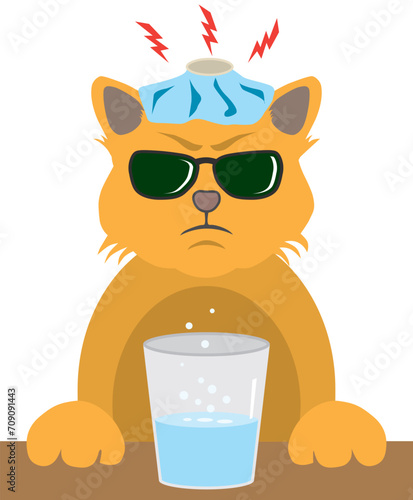 Cat With Hangover