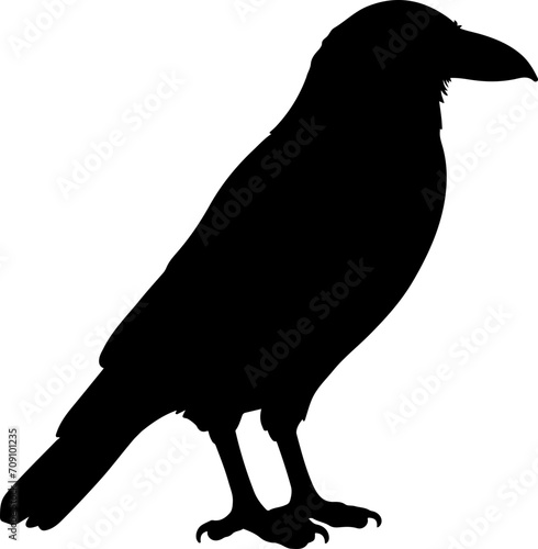 Crow clipart design illustration photo