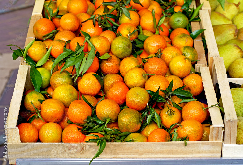 oranges in a box at the market. Fresh oranges or tangerines fruit with leaves in boxes at the open air local food market. Wholesale depot of exotic fruits. Local produce at the farmers market.