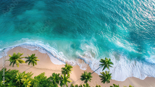 Aerial view of palms on the sandy beach of Indian Ocean at sunset. Summer in Zanzibar, Africa. 