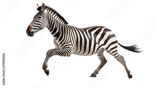 Zebra running on transparent background PNG