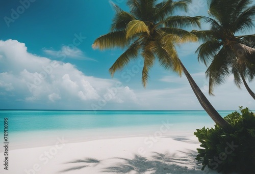 Beautiful natural tropical landscape beach with white sand and Palm tree leaned over calm wave Turqu