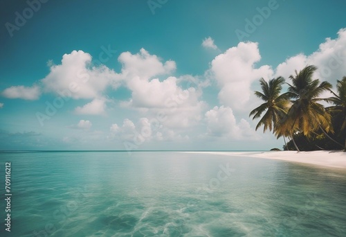 Beautiful tropical beach with white sand turquoise ocean on background blue sky with clouds on sunny © ArtisticLens