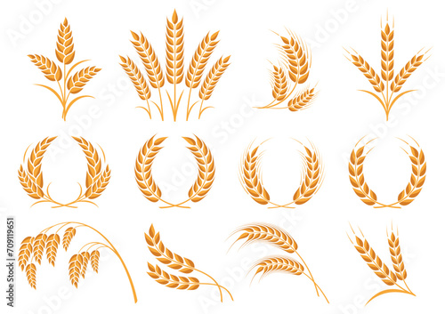 Wheat icons set. Grain, ear of wheat  and wreath. Organic wheat, bread agriculture and natural eat, rice isolated on white background. Isolated silhouette. Vector illustration photo