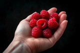 Red raspberry berries in hand on a black background. Hands holding fresh raspberries. Person holding raspberries, close-up