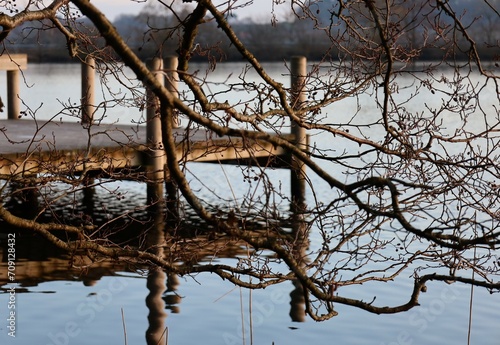 pier in the lake and tree at the lake-shore