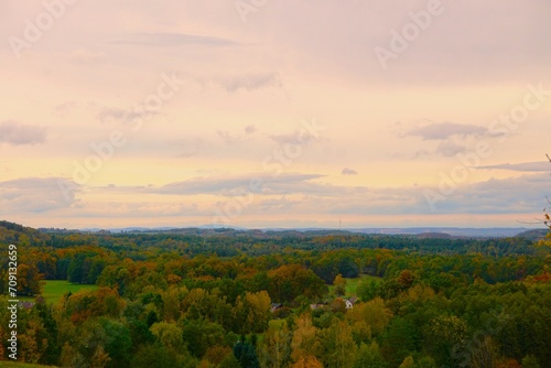 Pomarańczowe niebo roztacza się nad bujnym lasem. Krajobraz na las znajdujący się w Czechach. © Adam