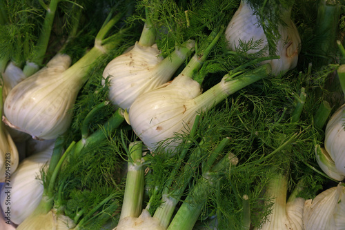 Fresh green fennel