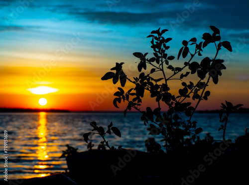 Beautiful scenic view of a vibrant sunrise over the ottawa river with the silhouette of trees on a cold morning in october.