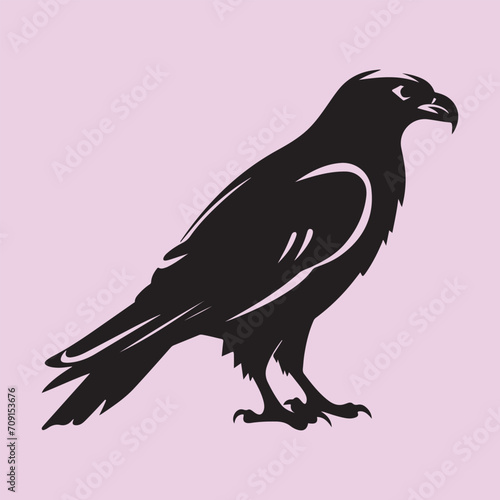 Hawk bird set black silhouette vector Clip art